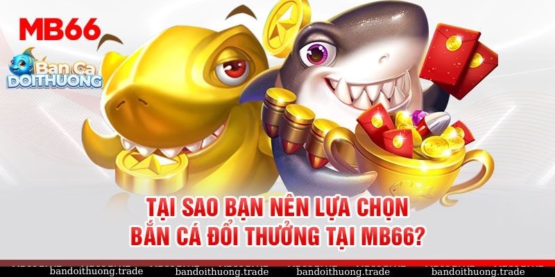 Người chơi nhận thưởng từ chương trình đua top bắn cá tại MB66