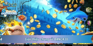 Giới thiệu về banca30