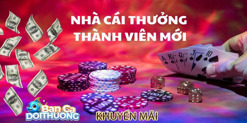 Khuyến mãi thật sự hữu ích